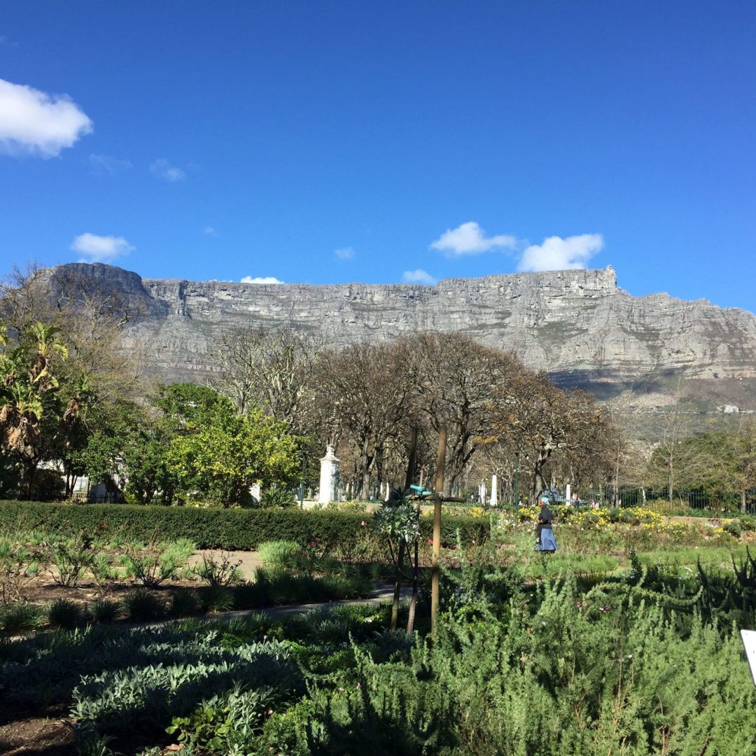 City Walking tour_ company gardens